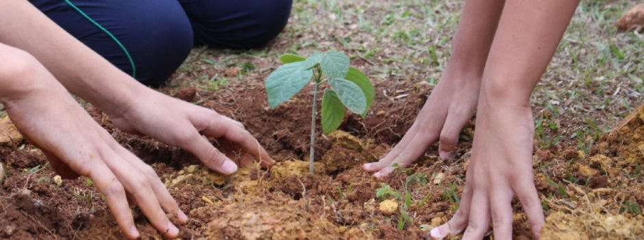 Foto: Agência Minas Gerais