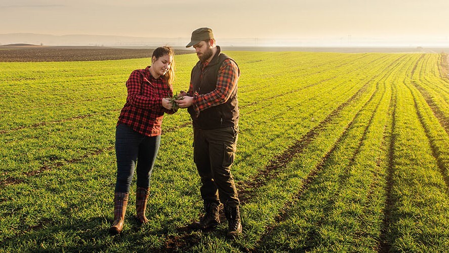 Foto: Confederação da Agricultura e Pecuária do Brasil (CNA)