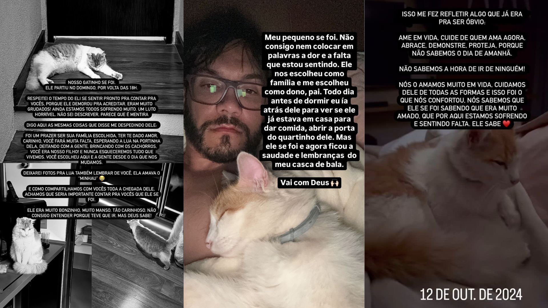 stories-gato