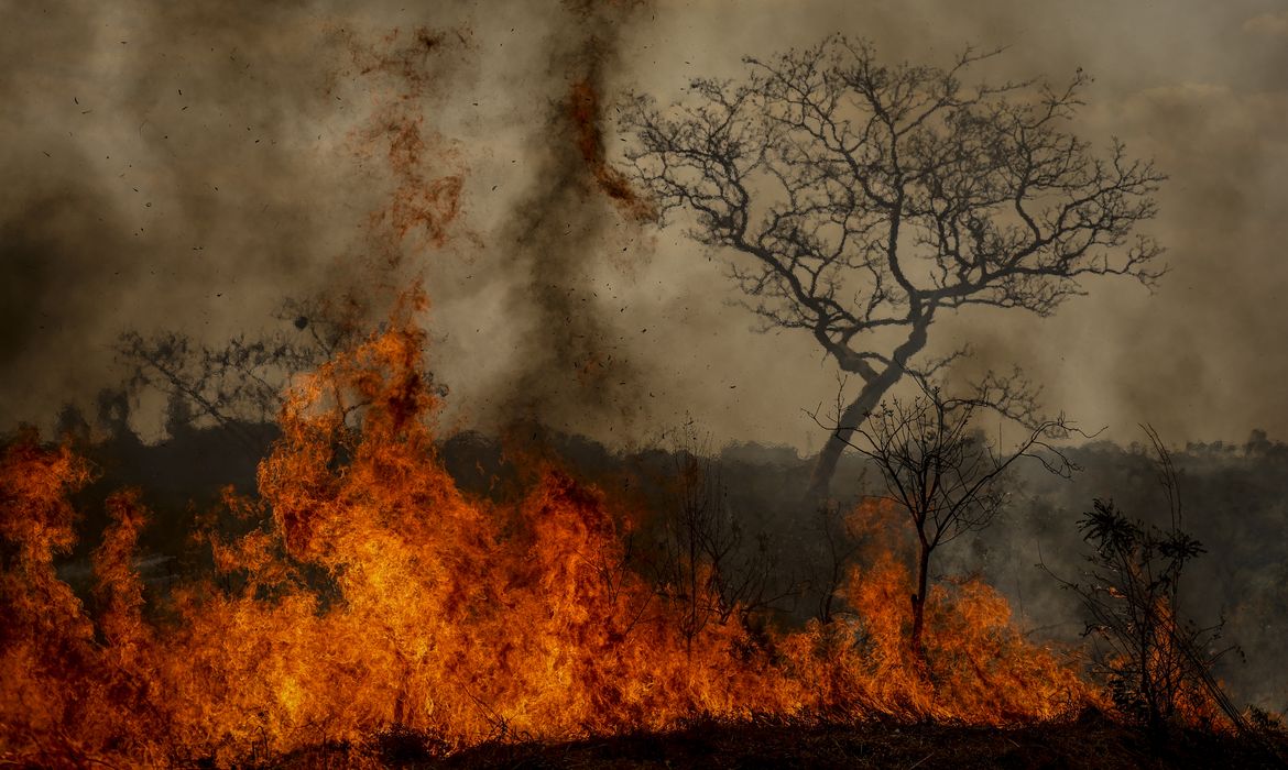 Foto: Agência Brasil - EBC