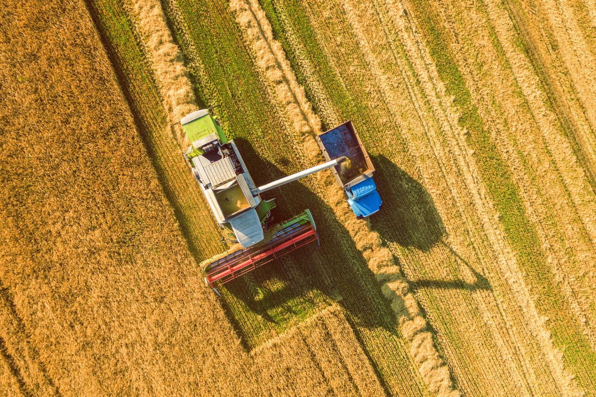 Foto: Agro Estadão